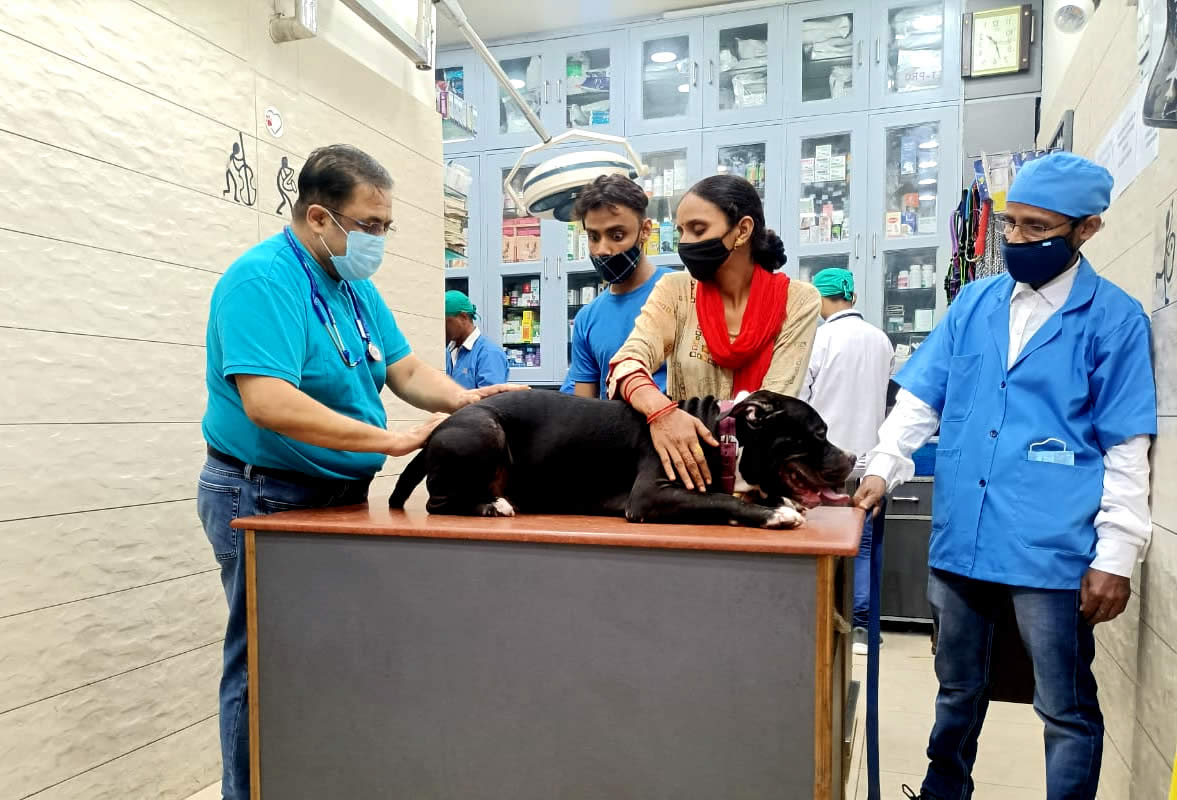 Dog And Cat Clinic Preet Vihar